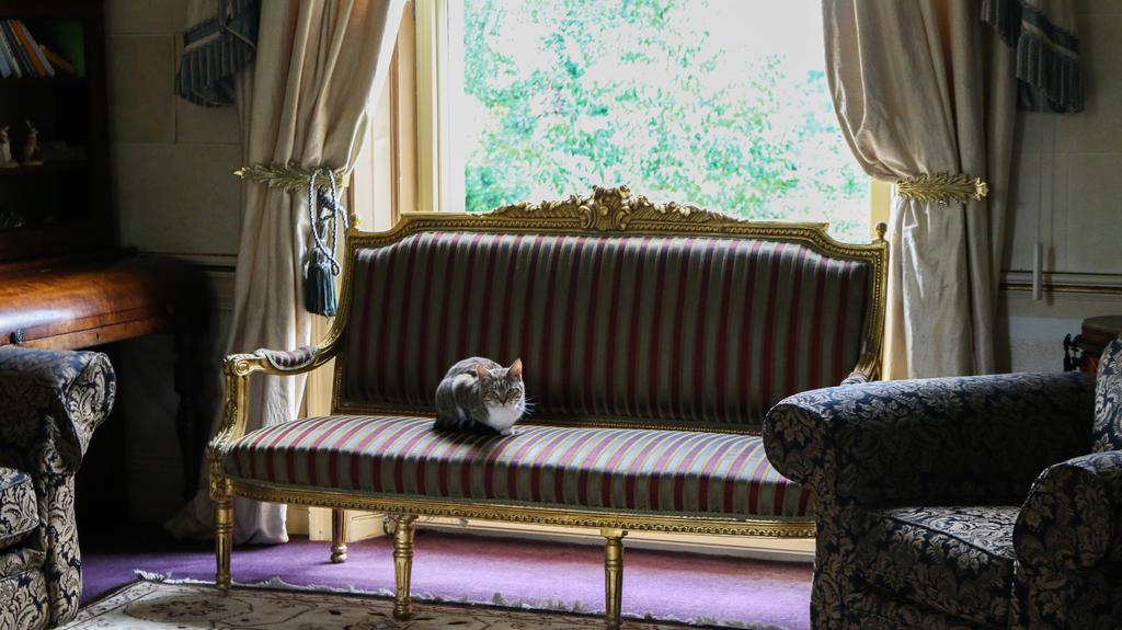 فندق Bloomfield House باث المظهر الخارجي الصورة